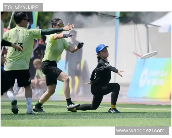 中国首支职业飞盘队成立，联赛系统即将上线