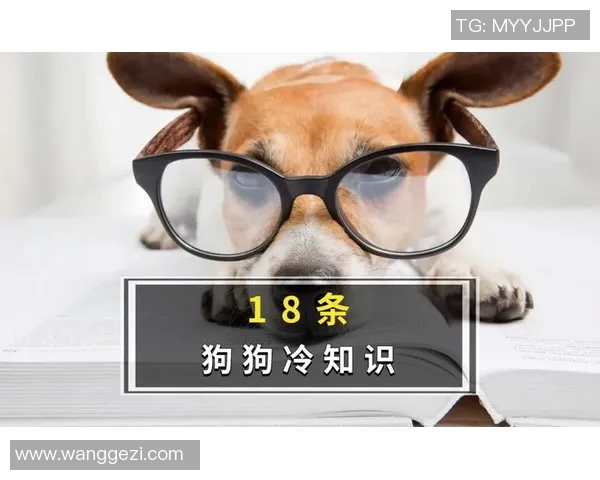 你不知道的巴黎：十大冷知识大揭秘